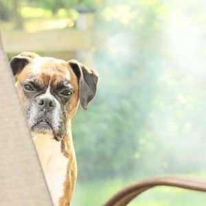 Meet your Posher, Carrie